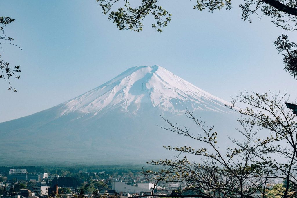 filiz elaerts J C3 JpJMms unsplash